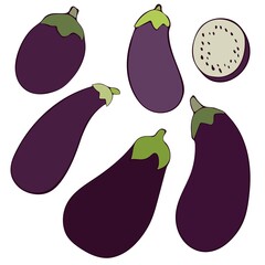 Set of flat vector illustrations of fresh eggplants. Image of vegetables, summer season. Drawn by hands. Isolated over white background.