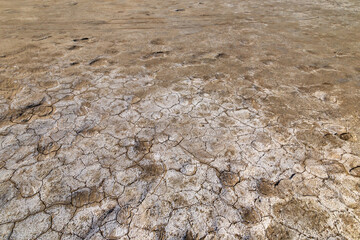 Manych lake shore. Dry cracked land covered with salt