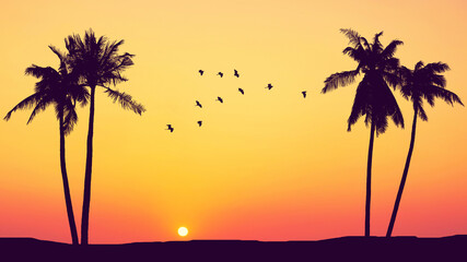 Silhouette palm tree at tropical beach with birds flying on sunset sky abstract background. Nature environment and travel freedom concept.