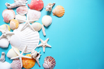 Summer greeting concept. seashells on blue background.
Colorful seashells composition background for summer greeting card, event, banner, frame design. 