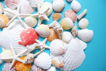 Summer greeting concept. seashells on blue background.
Colorful seashells composition background for summer greeting card, event, banner, frame design. 