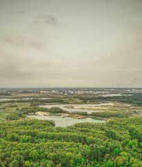 wildlife landscape in a forest area aerial photos