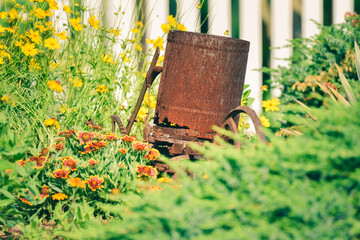 tools in the garden rusty equipment with flowers