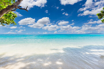 Beautiful beach and blue sky in Similan islands, Thailand.