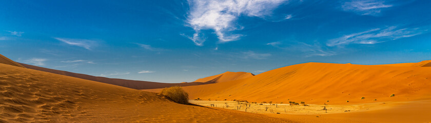 Fototapeta na wymiar Panorama view to Deadvlei with the trees, landscape with large sand dunes at Sossusvlei