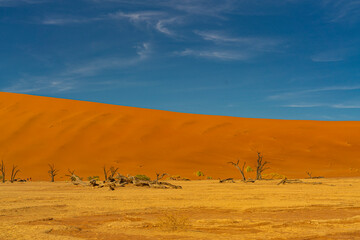 Fototapeta na wymiar Landscape with large sand dune and daed trees at Deadvlei, Sossusvlei