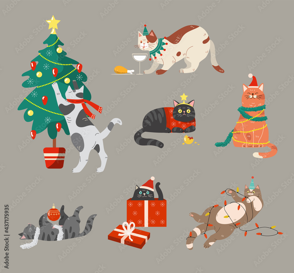 Wall mural cats celebrating winter holiday