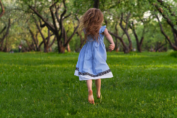 view from the back of a girl in a blue dress runs barefoot in the park or in the forest. the...