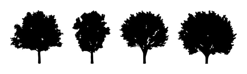 set of Tree silhouette on white background