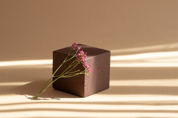 Brown square stand with sprig of dried flowers in sunlight. Shadow of objects falls on surface of...
