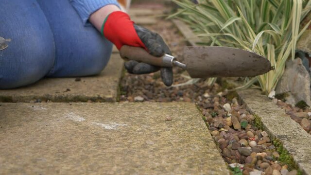 Gardener weeding gravel pathway 