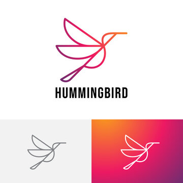 Hummingbird Colibri Bird Flying Beautiful Wings Monoline Logo