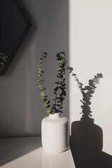 Decorative eucalyptus plant branches in a white vase