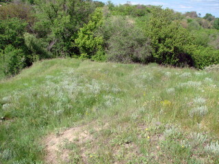 Unsurpassed natural picture of the beauty of the vibrant spring nature on the Dnieper hills on a sunny day.