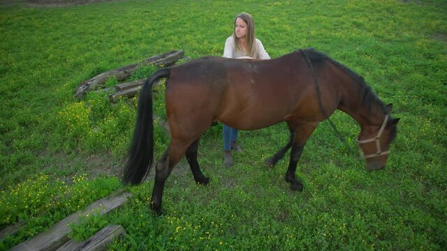 Young woman cuddling her horse in the garden. woman petting her horse while it eating flower and grass in a summer evening.