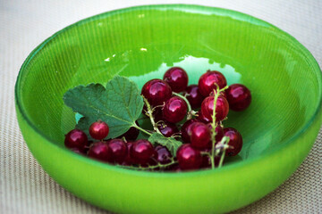 red currants on a green bowl