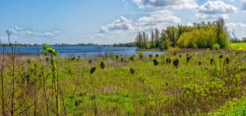 River landscape near the Amer / Hollands Diep