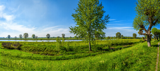 Fototapeta na wymiar River Landscape Maasbommel, the Netherlands