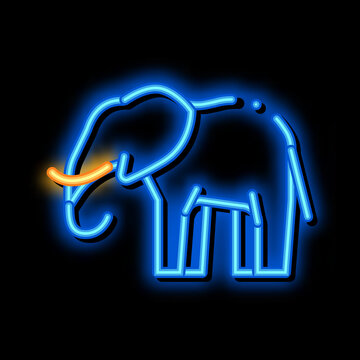Elephant neon light sign vector. Glowing bright icon Elephant sign. transparent symbol illustration