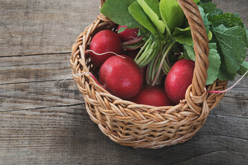 radishes in a wicker basket. DIY decorative basket. Fresh produce from the farm.