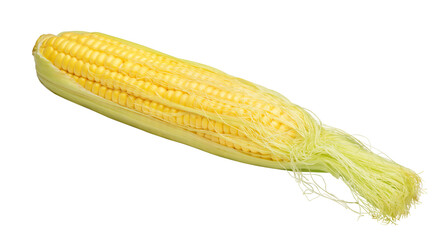 fresh natural corn with corn silk isolated on white
