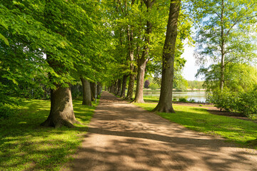 Bad Schwartau Kurpark Baum Allee