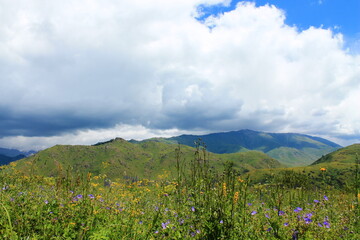 landscape with flowers and clouds