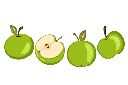 Apple icon set isolated on white background. Natural delicious fresh ripe fruit. Template vector illustration for packaging, banner, card. Stylized green apples with leaves, apple slice. Food concept