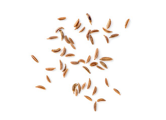 Caraway isolated on white background.