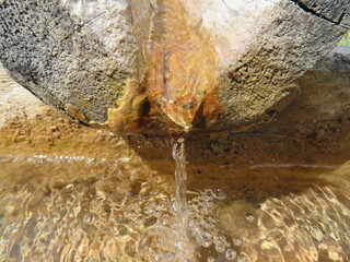 Wasser ist Leben