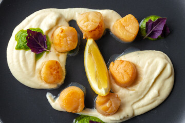 Scallops in creamy sauce on black plate