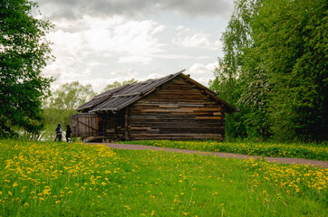 Obraz premium .A village barn in a meadow, trees and dandelions bloom around.