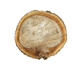 Felled piece of wood from a tree trunk with growth rings isolated on white.