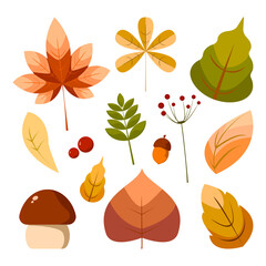 Set of colorful leaves and other elements, autumn collection.