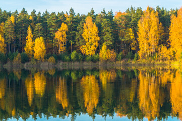 Beautiful forest lake old quarry on a clear autumn day. Forest gave.	
