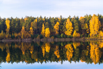 Beautiful forest lake old quarry on a clear autumn day. Forest gave.