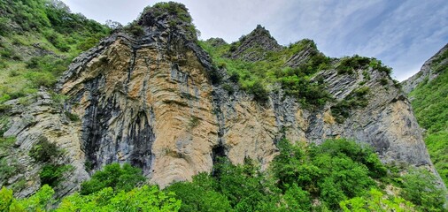 rock wall with trees growing on the steep slopes of the mountain located in a park which is home to a large forest