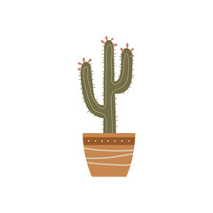 Mexican cactus in flower pot isolated on white background. Modern hand drawn vector illustration