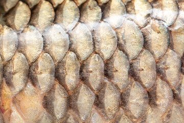 Fish scales as an abstract background. © schankz