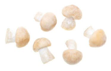 Mushroom Calocybe gambosa on a white background.