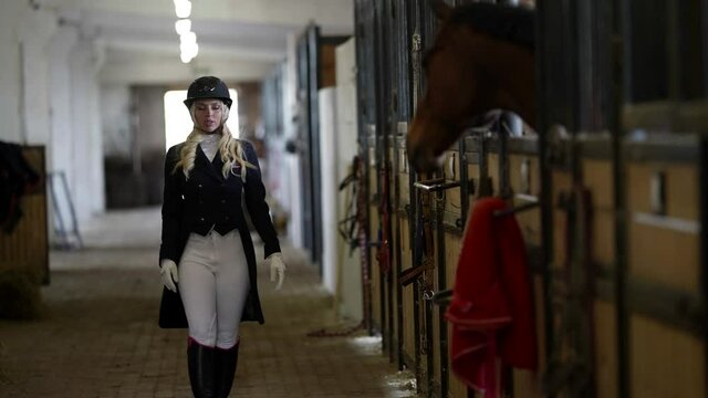 sexy blonde is wearing jockey outfit is walking in stable, stroking her horse