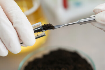 Researcher takes study of the soil in laboratory