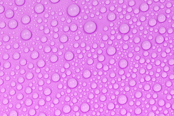 Water drops on purple background texture. Backdrop glass covered with drops of water.  violet bubbles in water