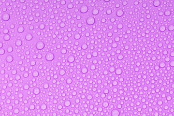 Water drops on purple background texture. Backdrop glass covered with drops of water.  violet bubbles in water