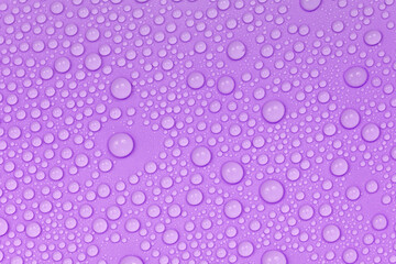 Water drops on purple background texture. Backdrop glass covered with drops of water.  violet bubbles in water