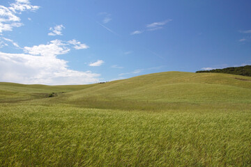 Fototapeta premium landscape with hills in tuscany