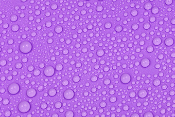 Water drops on purple background texture. Backdrop glass covered with drops of water.  violet bubbles in water