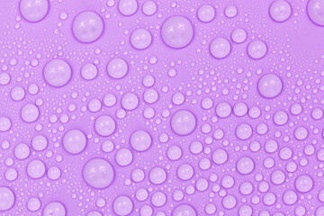 Water drops on purple background texture. Backdrop glass covered with drops of water.  violet bubbles in water