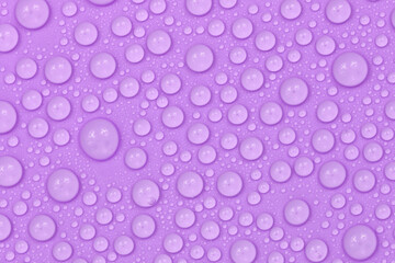 Water drops on purple background texture. Backdrop glass covered with drops of water.  violet bubbles in water