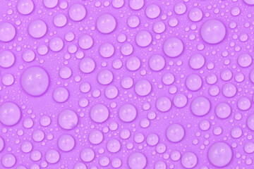 Water drops on purple background texture. Backdrop glass covered with drops of water.  violet bubbles in water